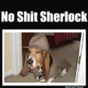 Noshitsherlock custom emote from Grow A Garden 2 and Blox fruit stock 24/7