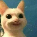 __ Discord Emoji | ・ 𝐌𝐨𝐨𝐧𝐋𝐢𝐠𝐡𝐭 𝐂𝐡𝐚𝐭 ☄