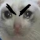 angerycat Discord Emoji | Talking buddies