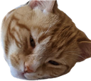 roxy Discord sticker - Playhouse SMP
