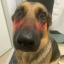 blushingdog Discord Emoji | The Nocturne District (18+ • SFW)