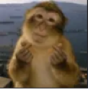 emoji_28 Discord sticker from الاحتياط ☜ [🔆]  مـاب الـنـسـخـة الـجـديـدة