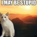 imaybestupid Discord Emoji - Hearts of Steel (Geopoltical Minecraft Server)