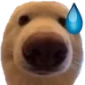 V_dumbass_dog Discord sticker | Vulcan