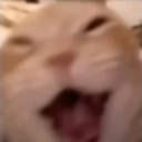 emoji_5 Discord Emoji - 𝖕.𝖙.𝖒