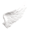 wing2 animated GIF emoji from 𐔌 ིྀ Pawberry ₊