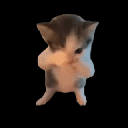 scubaa animated emote | Nigger