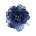dark_blue_flower Discord sticker - 𝑪𝒓𝒚𝒔𝒕𝒂𝒍 𝑴𝒊𝒏𝒆 18+