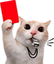 440174redcard custom emote | Pyraea