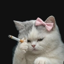 stress custom emote from Zenii's Crewmates