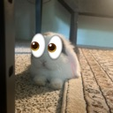 eye Discord sticker - Nigger