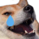 dogekekcry custom emote | Sammy's Indie-Electro Lounge