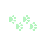 A series of light green pixelated paw prints arranged in a walking pattern.