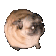 dogflex animated Discord emote | Shark Earnings: Earn Money & Rewards