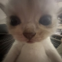 emoji_86 Discord Emoji | /𝙀𝙘𝙡𝙞𝙥𝙨𝙚