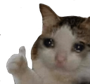 Meme_Sad_Cat_Thumbs_Up Discord Emoji - Gaming-Friends
