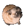Vibing_Pug animated GIF emoji - The 1woners
