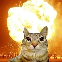 A cat with a blank expression standing in front of a large fiery explosion.