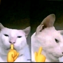emoji_20 Discord Emoji | مع تحيات عمامكم سيرفر تيريكس