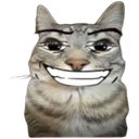 cat_smirk Discord Emoji from Bitplay