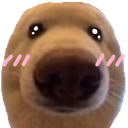 dognau5 Discord Emoji from 𝘙𝘌𝘈𝘓𝘐𝘛𝘠 𝘈𝘞𝘈𝘐𝘛𝘚... but after 24.7