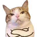 49 Discord sticker - 🦄🌸Gatos Cósmicos🌸🦄