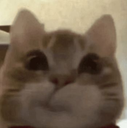 Screenshot_2026_07_25_17_42_00_0 custom emote | Lovers Cafe™🌷India | Indian Discord server • Indian Discord  Community • discord india • Active