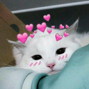uwu_cat Discord Emoji - 𝄞⨾𓍢ִ໋.   The Silverdale Sever. ⊹ ⋆  ໒꒱ ⋆ﾟ⊹