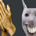 ehhgato Discord Emoji - Roblox LatinoAmerica⭐
