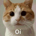 cat animated emote | Heart.exe