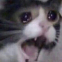 cryingcat custom emote | 遊戲小鎮
