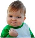 success_desipunjab Discord sticker - Desi Punjab (Pakistani, Indian)