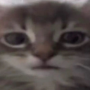 GATOTRAUMA Discord Emoji | Mundo dos Animes - Br