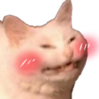 cattoblush Discord Emoji - Alphio AI