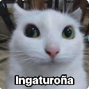 ingaturoa custom emote | CobbleTech: Dungeon Trials