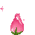46605rosebloom animated emote - Nashe™ | Social . PFPs . Giveaways . Chill