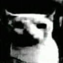 bruhcat custom emote - /r/christians