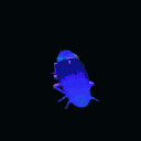 karaluch animated Discord emote - Cukierniczka