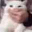 emoji_19 custom emote | PLENGERR