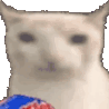 emoji_113 animated Discord emote | 𝗕𝗼𝗮𝘆𝗲𝗱𝗵 𝗙𝗮𝗺𝗶𝗹𝘆