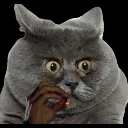 addict Discord Emoji - The Sports Garage🏆