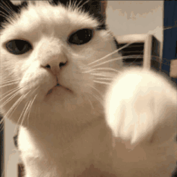 CatPunchAnim animated emote - offqtz
