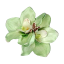 green Discord sticker - Lemniscate Network
