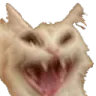 264_freaked Discord sticker - Rabbit Hole