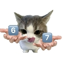 A small kitten with human hands holding a cube labeled 6 and a cube labeled 7.