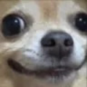 weirddog Discord Emoji - Gaming Grid