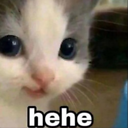 hehehe custom emote from Apricity™ 😻 | Egirl • Social • Chat • Chill • Vc • Ask To DM