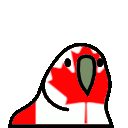 canadaParrot animated Discord emote from ✰Queer Hangout ✰