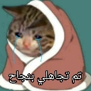 emoji_10 custom emote | سيرفير صيانة