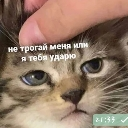 4enado Discord sticker - ✨КиберЛапки🎮